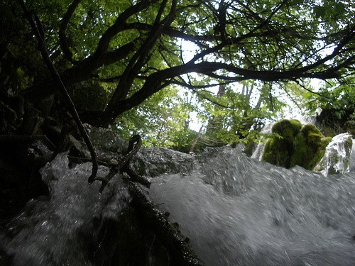 Water in Plitvice