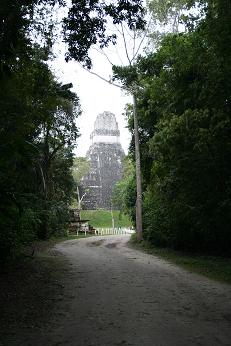 Tikal from the jungle