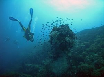 diving-great-barrier-reef.jpg