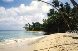 barbados beach