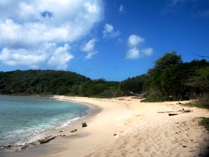 tamarindo-beach
