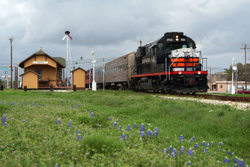Austin Steam Train