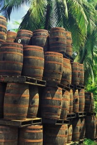 Martinique Rum