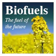 Bio Fuels