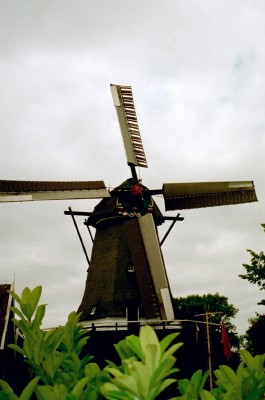 Traditional Dutch windmill in the town of Oudeschild, Texel (Scarborough photo)