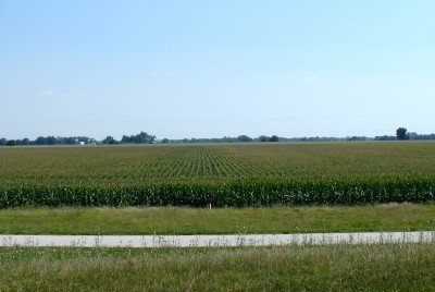 See this cornfield? This is mostly what we've looked at for days. (Scarborough photo)