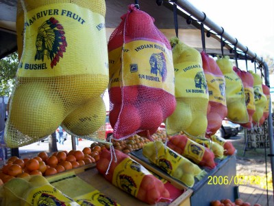 A Florida fruit stand at Crystal River, near Homosassa Springs State Park (Scarborough photo)