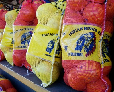 Bags of oranges and grapefruit, Crystal River fruit stand, Florida (Scarborough photo)
