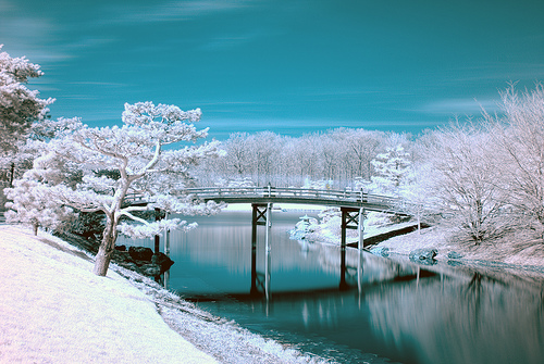 The Chicago Botanic Garden in winter (courtesy Semper AC/DC at flickr's Creative Commons)