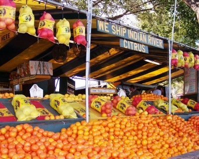 Fruit stand bounty near Crystal River, Florida (Scarborough photo)