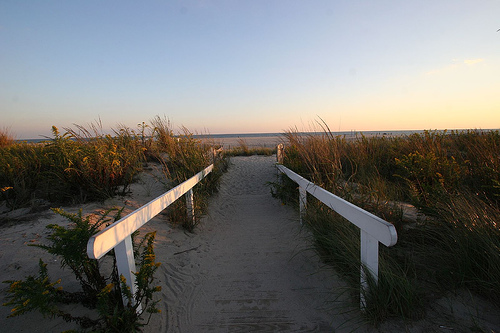 The beach at Cape May, New Jersey (courtesy veronica lola at Flickr CC)