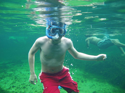 Snorkel in the clear water at Wakulla Springs, Florida (courtesy Quantum Physics at Flickr CC)