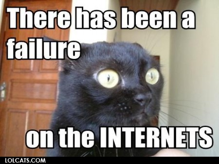 Internet Cat (lolcat courtesy tonyalmeida)
