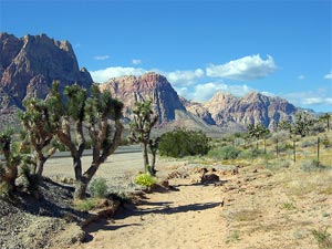 Red Rock Canyon1