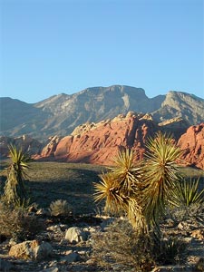 Red Rock Canyon2