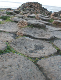 Giants' causeway closeup on symmetrical stones