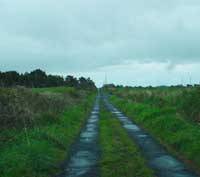 rural irish road