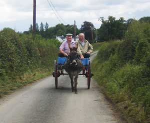irish men in a jaunting car going to the athlone agri festival