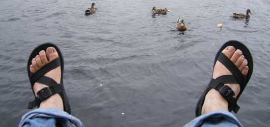feet in sandals and rolled-up jeans suspended over the shannon river in athlone with ducks swimming