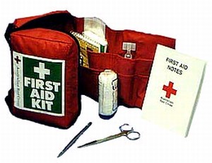 mini-first-aid-kit.jpg