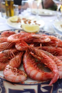 culinary tours spain