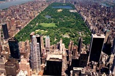 Central Park view