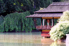 brooklyn-botanical-garden-japnse-tea-house