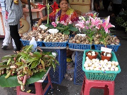 market in Bangkok