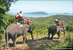 elephant safari thailand
