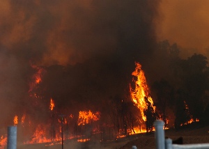 Bushfire in New South Wales
