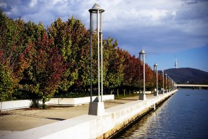 Canberra in autumn