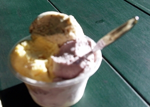 daintree ice cream