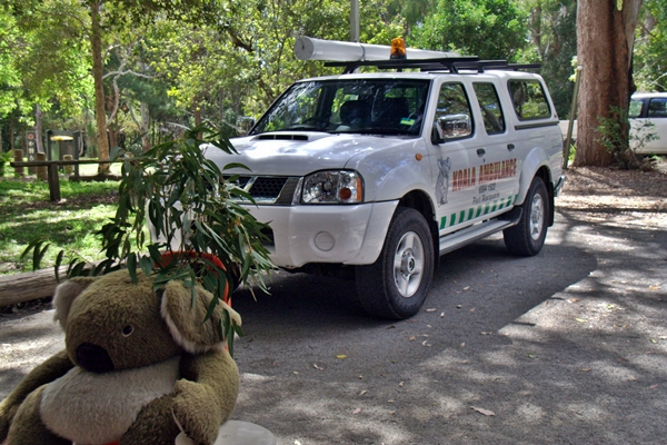 koala ambulance
