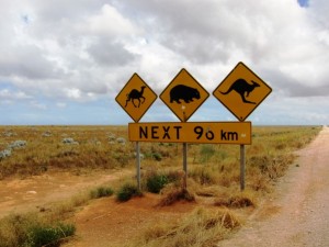 wildlife signs