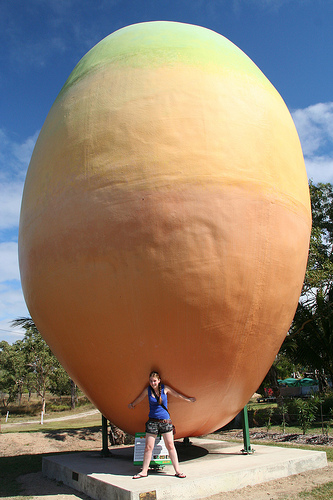 brooke with giant mango in Bowen