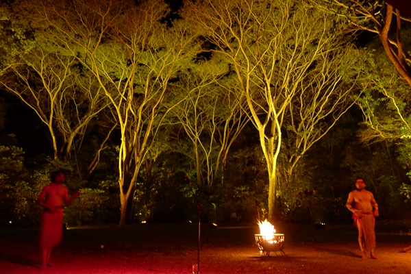 flames of forest trees